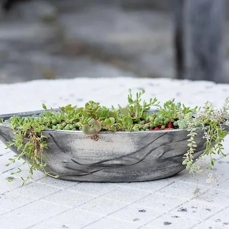 Neiva River House - Azenha Next To The River *