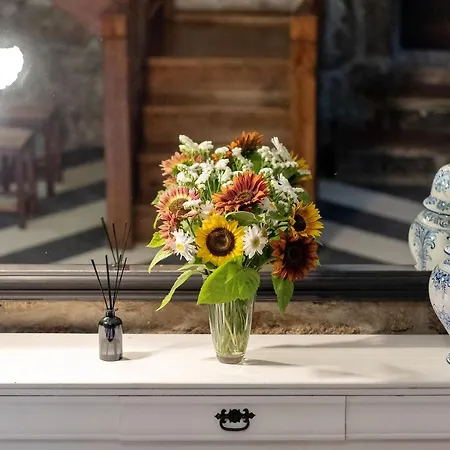 Neiva River House - Azenha Next To The River *