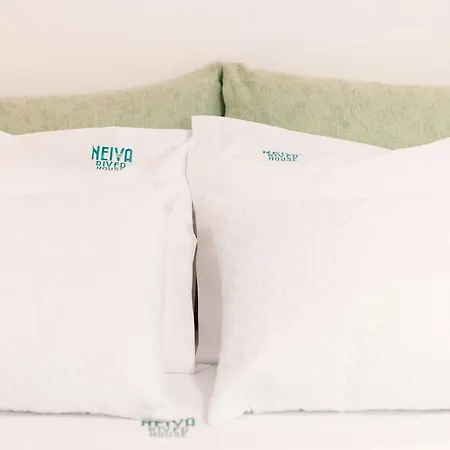 Neiva River House - Azenha Next To The River *