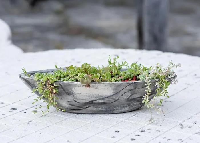 Neiva River House - Azenha Next To The River *