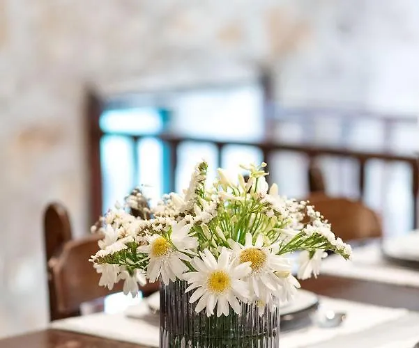 펜션 Neiva River House - Azenha Next To The River 에스포센데