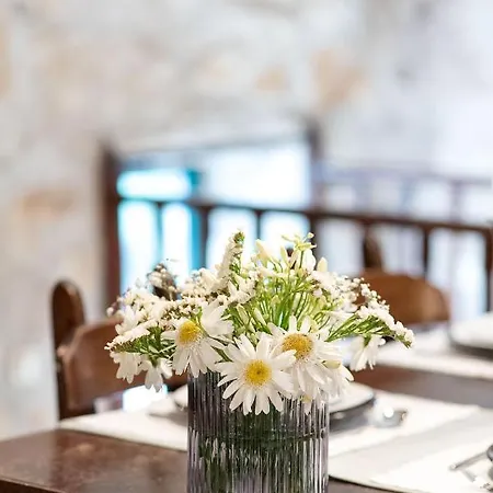 別荘 Neiva River House - Azenha Next To The River エシュポゼンデ