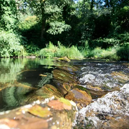 Neiva River House - Azenha Next To The River *