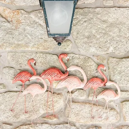 Neiva River House - Azenha Next To The River 別荘