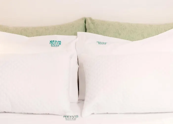 Neiva River House - Azenha Next To The River *