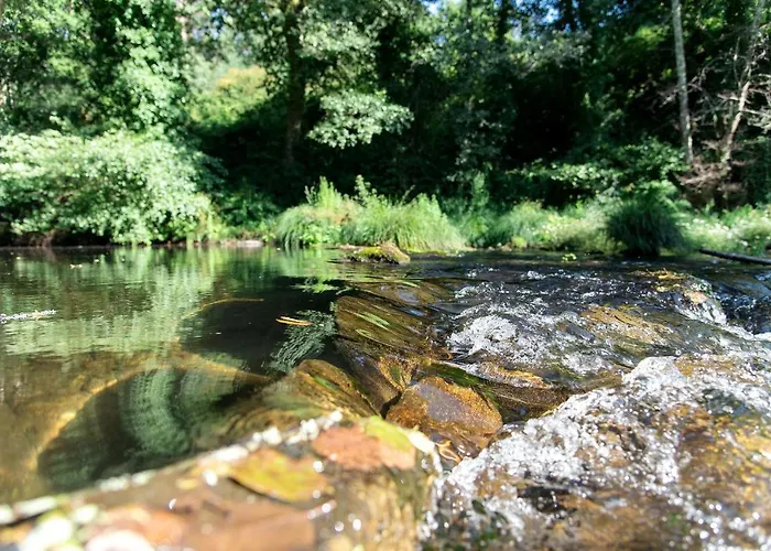 Neiva River House - Azenha Next To The River *