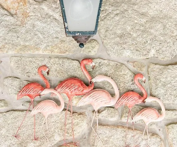 Neiva River House - Azenha Next To The River Prázdninový dům