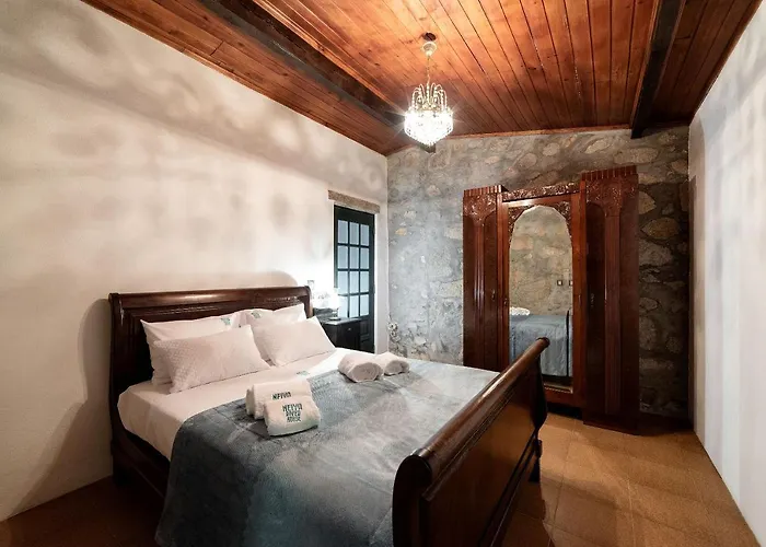 Neiva River House - Azenha Next To The River *